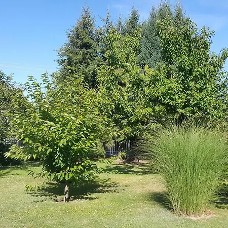 Marietta * Hévíz