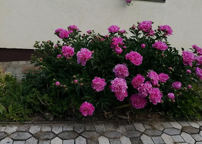 Apartman Marietta Hévíz
